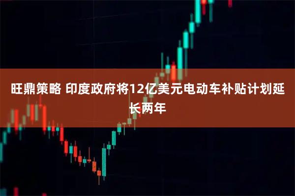 旺鼎策略 印度政府将12亿美元电动车补贴计划延长两年
