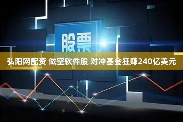 弘阳网配资 做空软件股 对冲基金狂赚240亿美元
